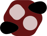 Logo Iolce